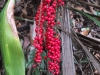 dscf5717-001
