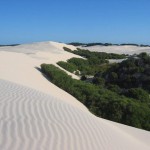 moreton-island-desert